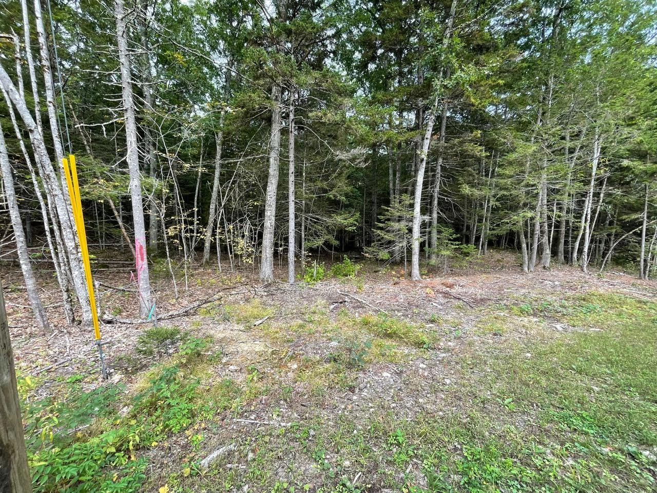 Lot G Blue Rdg Acrs Acres, Unit ACRES Bristol, ME 04539 - Photo 11 of 13 mail3