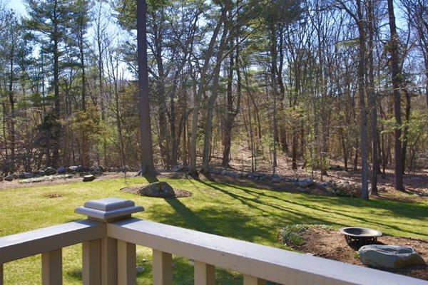 25 Columbine Road Weston, MA 02493 - Photo 11 of 11 a view of a park with large trees