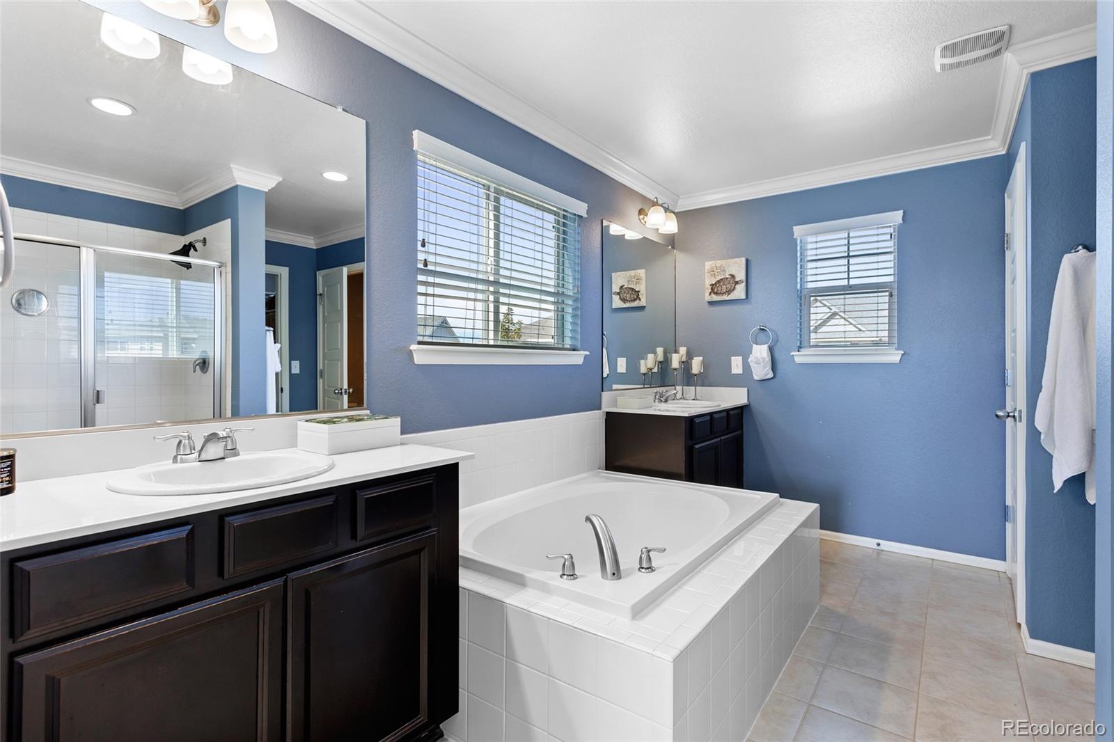 1444 Sidewinder Circle Castle Rock, CO 80108 - Photo 15 of 40 a bathroom with a tub sink double vanity and mirror