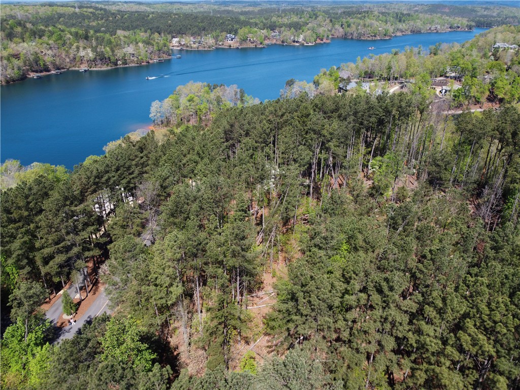 A75 Deep Cove Court Sunset, SC 29685 - Photo 11 of 17
