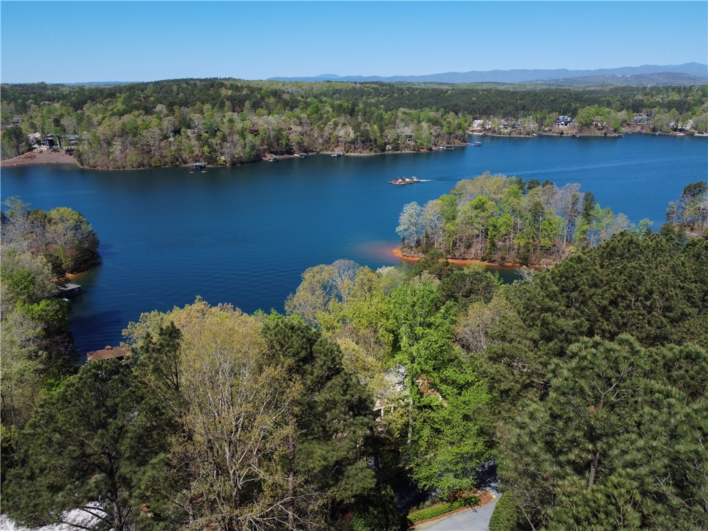 A75 Deep Cove Court Sunset, SC 29685 - Photo 16 of 17