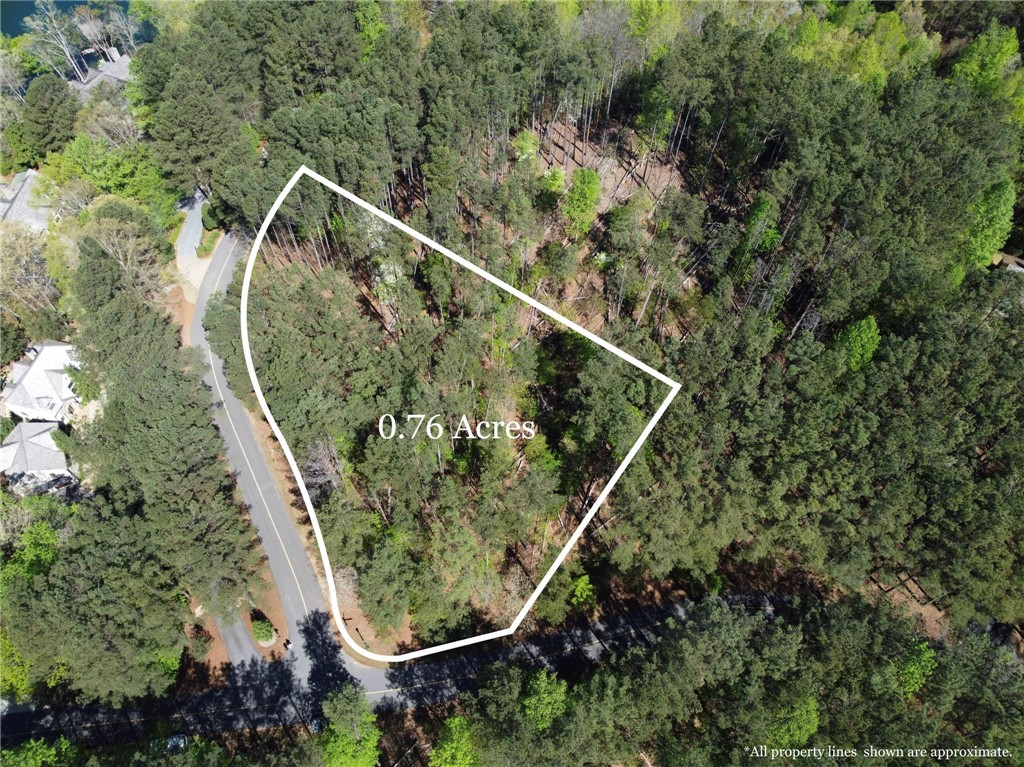 A75 Deep Cove Court Sunset, SC 29685 - Photo 8 of 17 Property lines depicted on aerial photographs may not be representative of actual property lines.