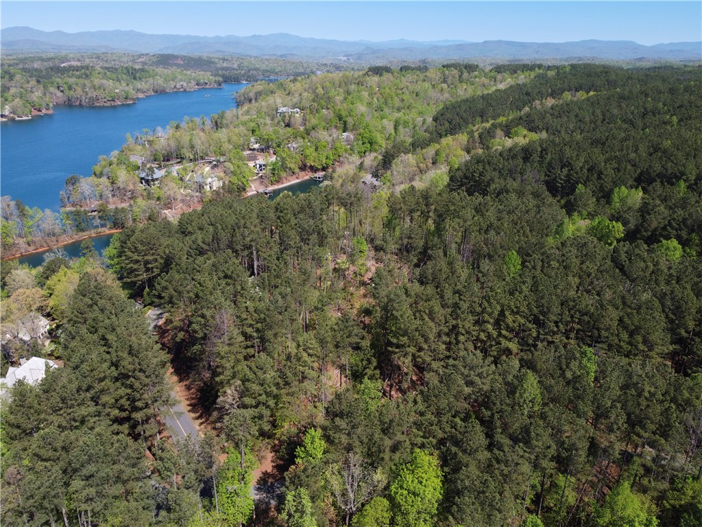 A75 Deep Cove Court Sunset, SC 29685 - Photo 9 of 17