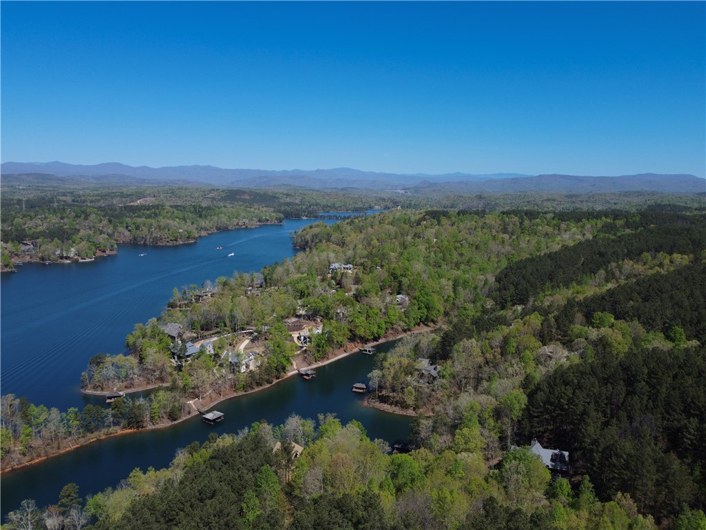 A75 Deep Cove Court Sunset, SC 29685 - Photo 10 of 17