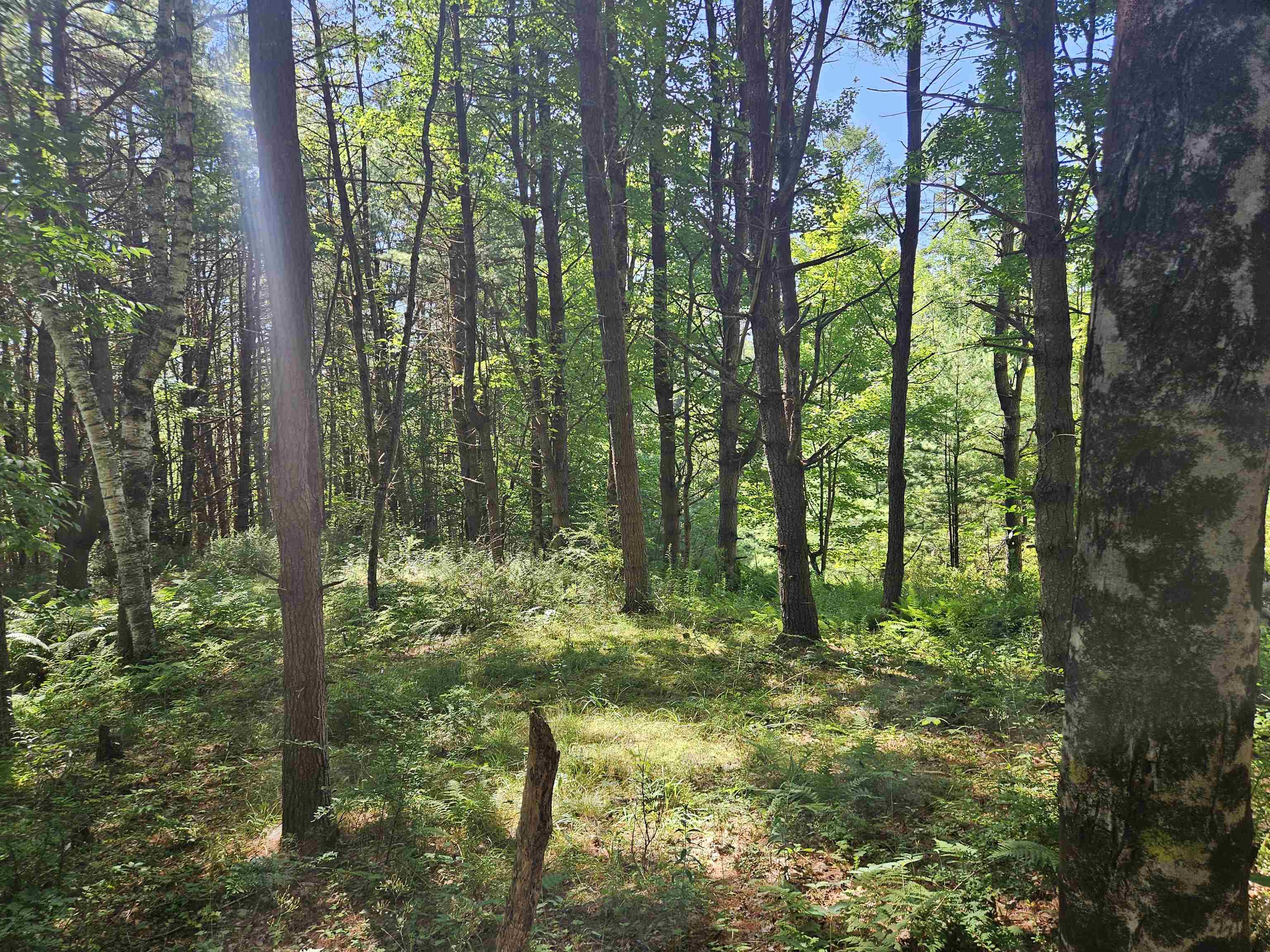 Lot 3.1 Off Parker Road Lisbon, NH 03585 - Photo 12 of 23 Gallery Image 12