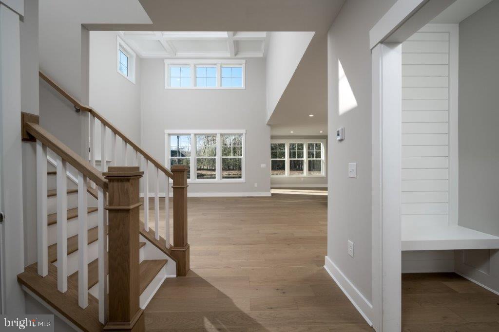 24163 Heartleaf Road Frankford, DE 19945 - Photo 11 of 11 Gallery Image 11