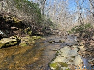 0 Paynes Pond Road Scottsville, VA 24590 - Photo 42 of 44