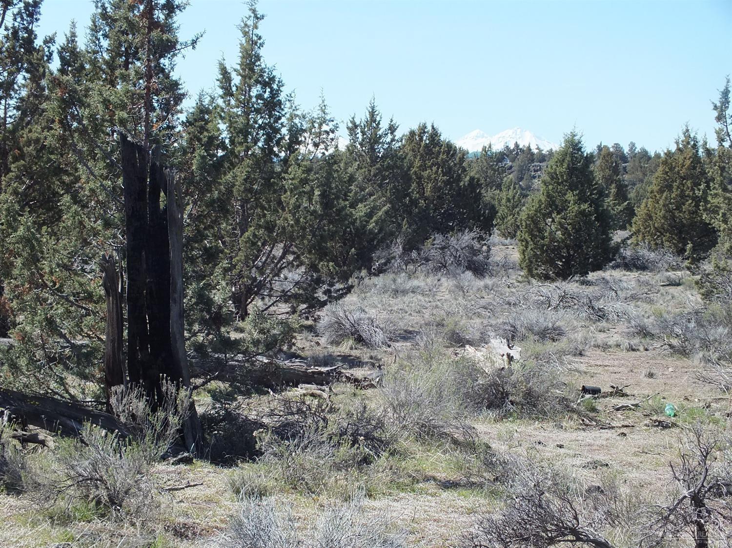 0 Southwest Sage Hen Road Terrebonne, OR 97760 - Photo 8 of 24 Additional Photo