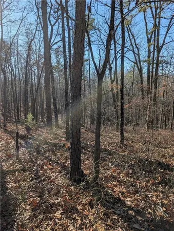 $17,000 | 1422 Hanna Drive, Ranger, GA 30734