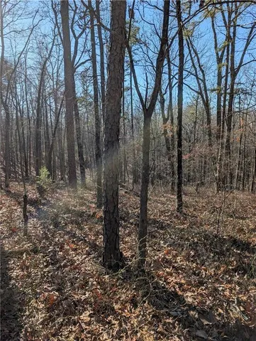 $17,000 | 1422 Hanna Drive, Ranger, GA 30734