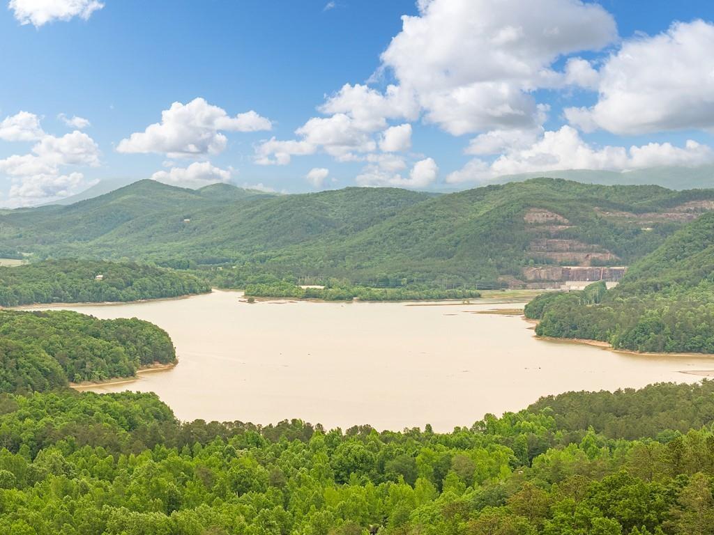 1422 Hanna Drive Ranger, GA 30734 - Photo 11 of 16