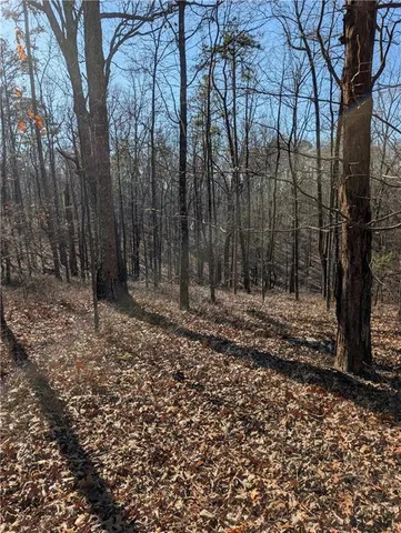 $17,000 | 1422 Hanna Drive, Ranger, GA 30734