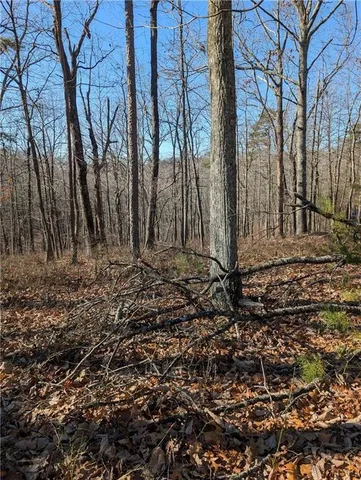 $17,000 | 1422 Hanna Drive, Ranger, GA 30734