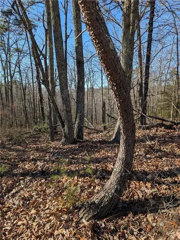 $17,000 | 1422 Hanna Drive, Ranger, GA 30734