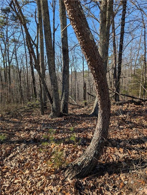 1422 Hanna Drive Ranger, GA 30734 - Photo 3 of 16