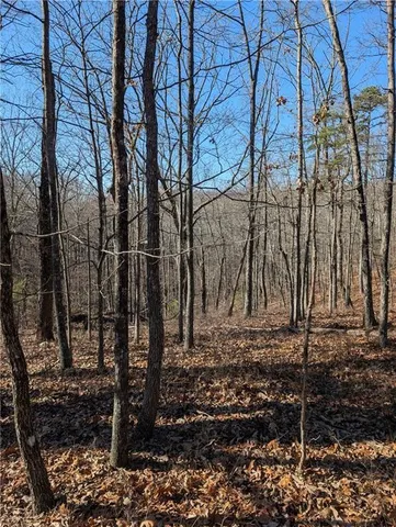 $17,000 | 1422 Hanna Drive, Ranger, GA 30734