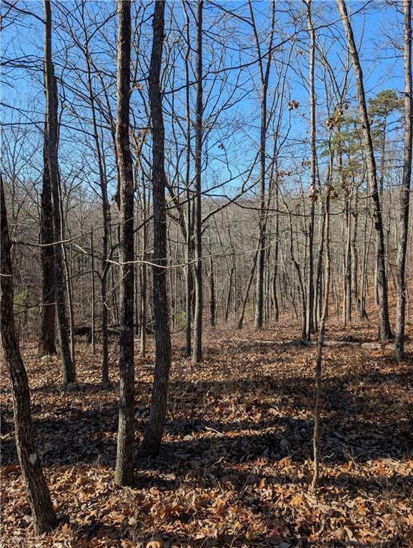 1422 Hanna Drive Ranger, GA 30734 - Photo 4 of 16