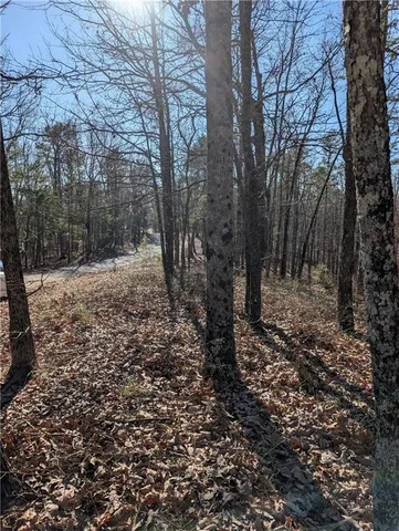 $17,000 | 1422 Hanna Drive, Ranger, GA 30734