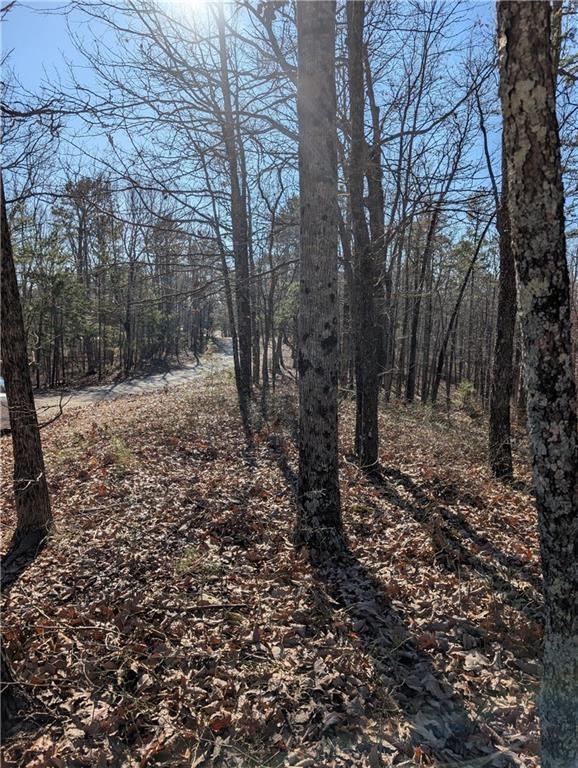 1422 Hanna Drive Ranger, GA 30734 - Photo 5 of 16