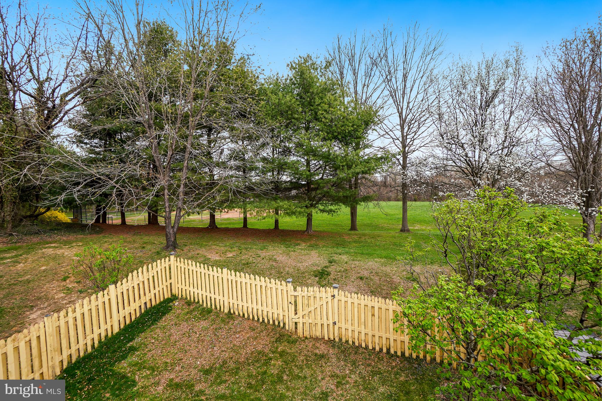 9412 Kilbride Court Perry Hall, MD 21128 - Photo 49 of 52 a view of a yard with plants and trees