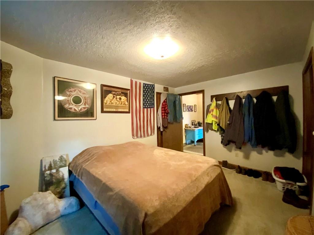 323 Prestley Road Bridgeville, PA 15017 - Photo 10 of 22 First floor bedroom