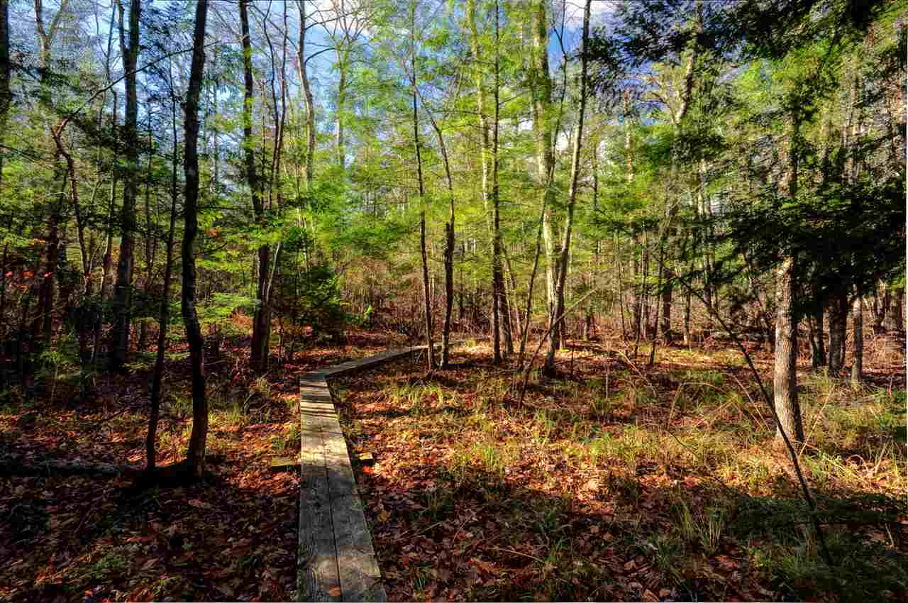 113 Ledge Road Chester, NH 03036 - Photo 39 of 39