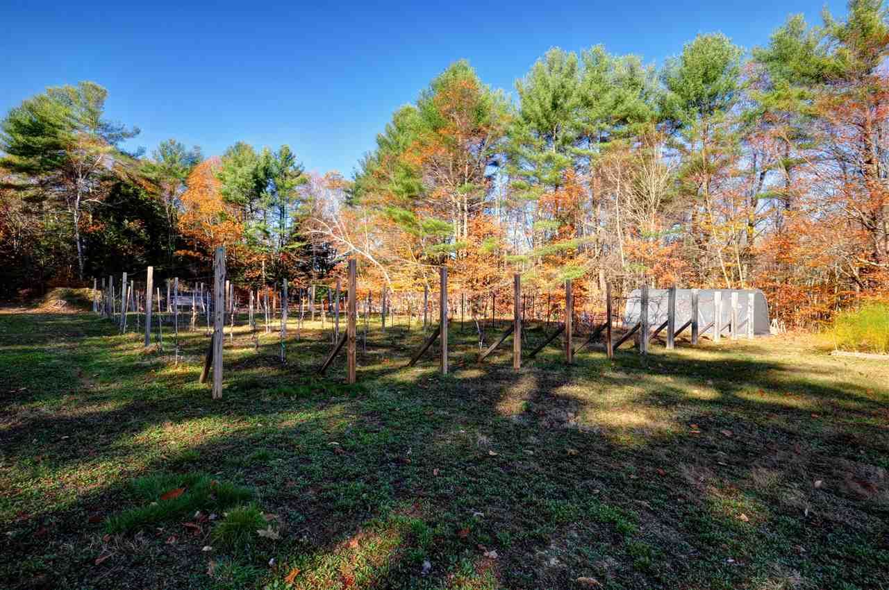 113 Ledge Road Chester, NH 03036 - Photo 6 of 39