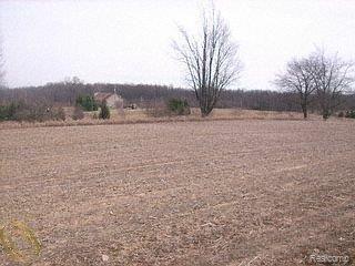 219 Wasson Road Gregory, MI 48137 - Photo 1 of 1 wasson vacant