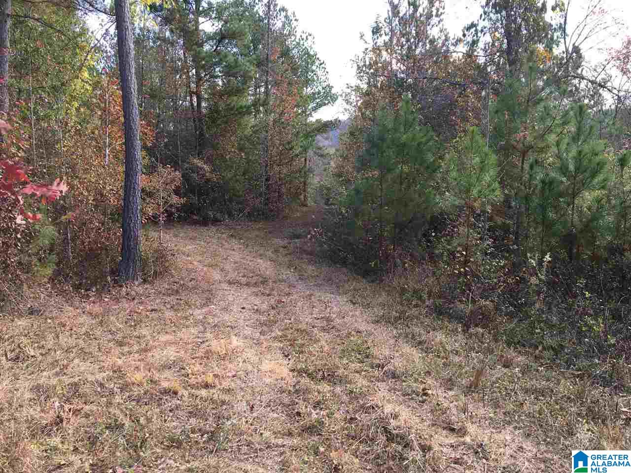 0 Wooden Trace Circle, Unit 30 Springville, AL 35146 - Photo 6 of 25