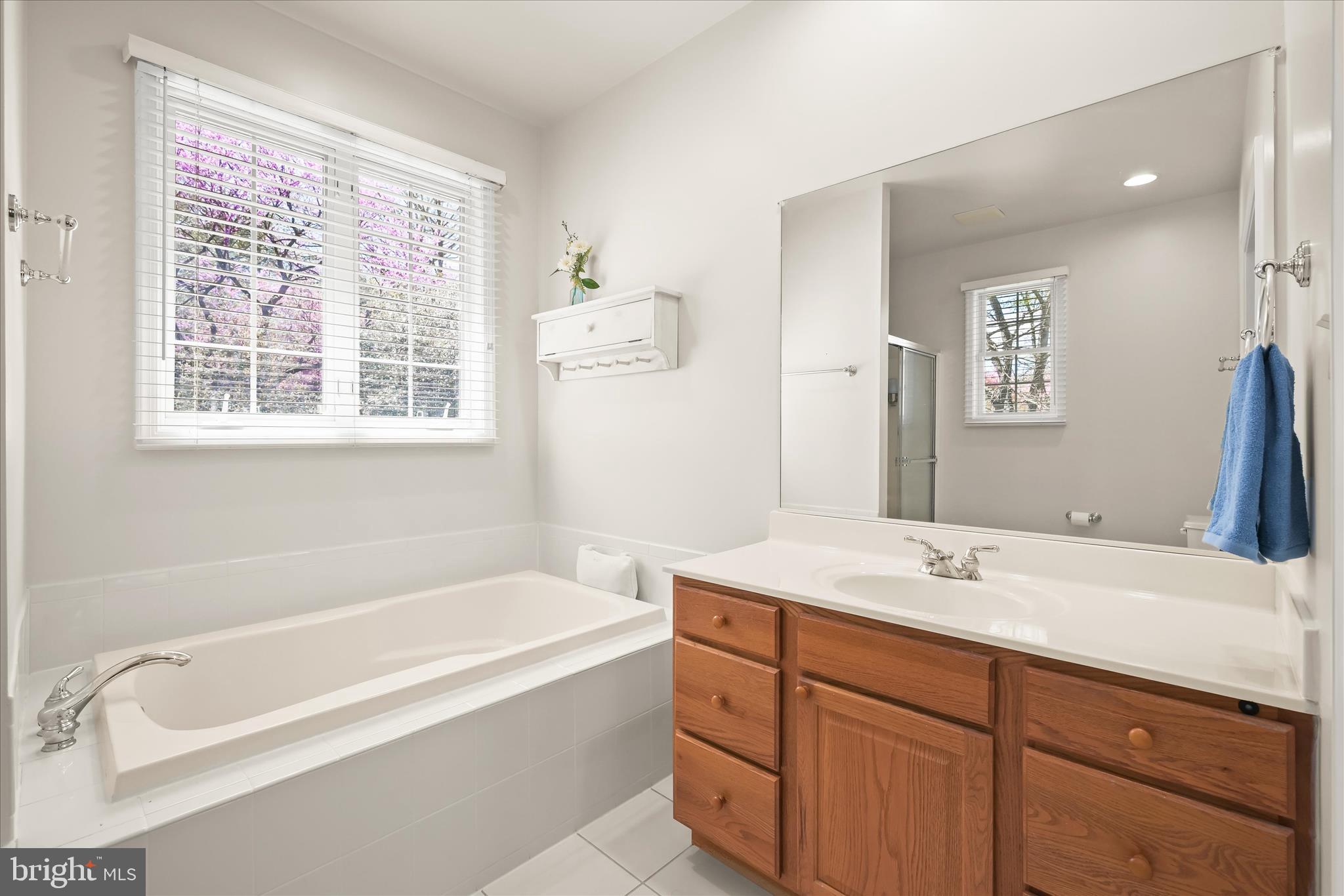 6735 Mink Hollow Road Highland, MD 20777 - Photo 27 of 58 a bathroom with a tub a sink and mirror