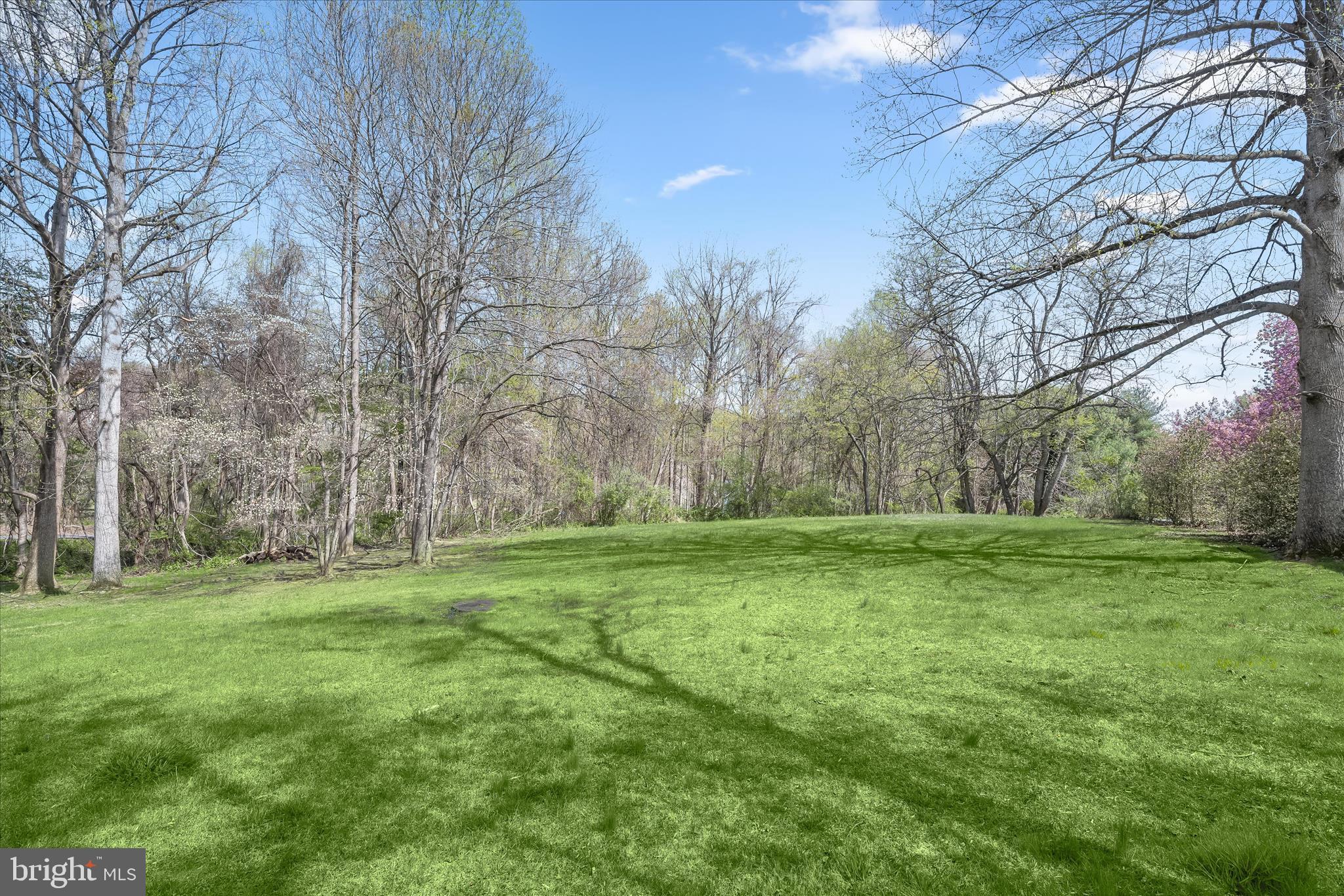 6735 Mink Hollow Road Highland, MD 20777 - Photo 53 of 58 a view of a grassy field with trees