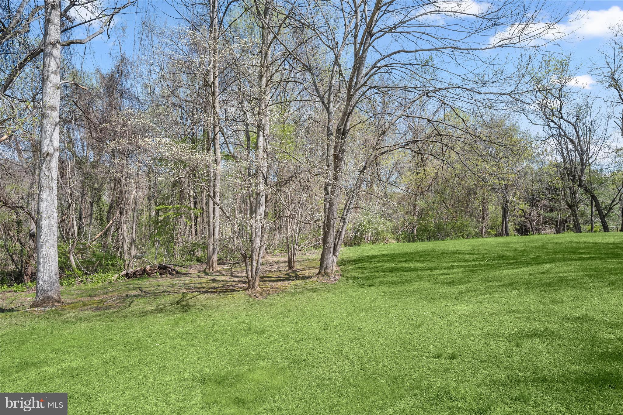 6735 Mink Hollow Road Highland, MD 20777 - Photo 54 of 58 a view of outdoor space with trees all around