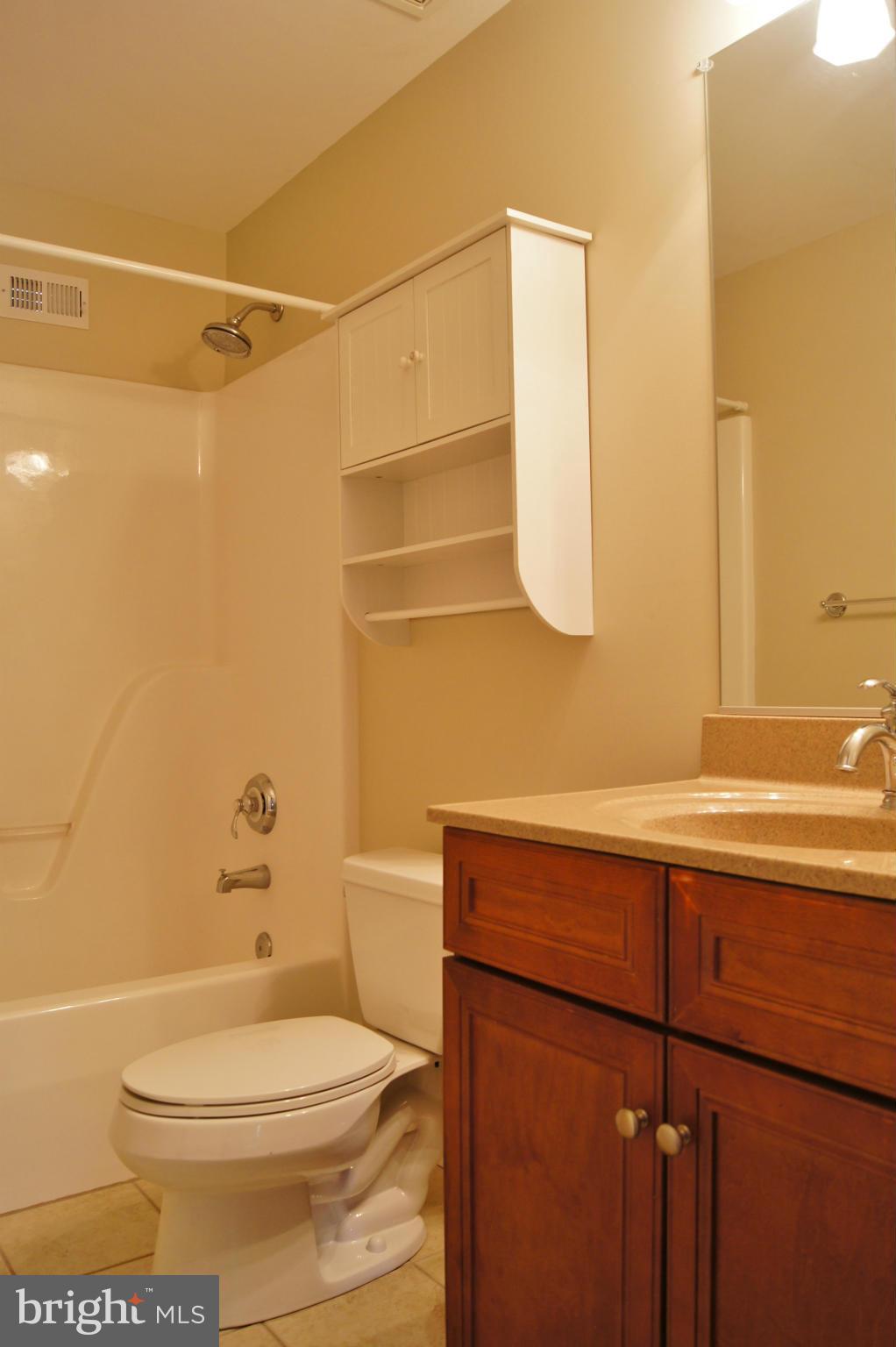 17201 Hardy Road Mount Airy, MD 21771 - Photo 24 of 27 Full Bathroom in Hallway