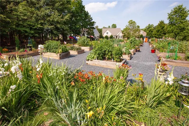 a view of a backyard with plants
