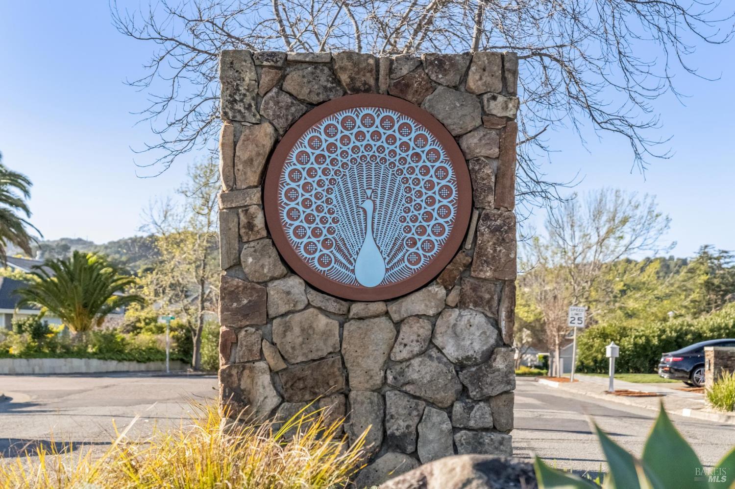 266 Riviera Drive San Rafael, CA 94901 - Photo 44 of 45