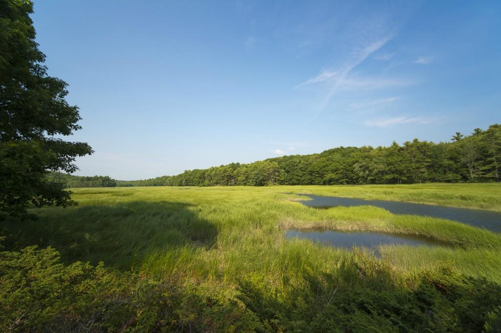 22 Collins Pattee Road Bath, ME 04530 - Photo 30 of 35 Walk to your shared point for...