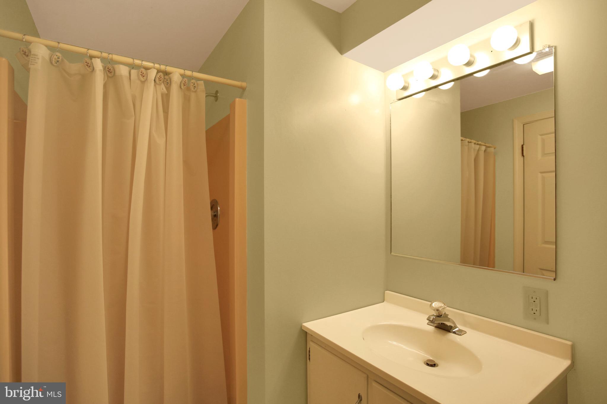 202 South Ridge Road Boiling Springs, PA 17007 - Photo 30 of 36 a bathroom with a shower and a sink