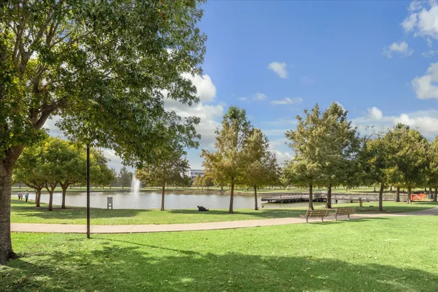 a view of a park with large trees