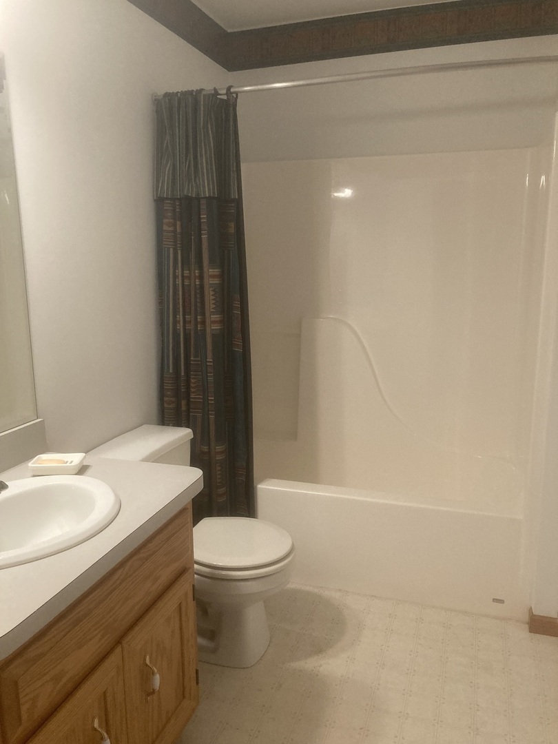 Undisclosed Address Joliet, IL 60435 - Photo 12 of 20 a bathroom with a sink a toilet and shower