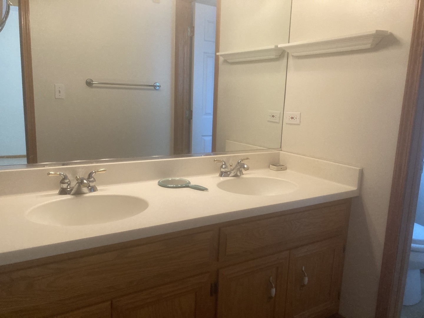 Undisclosed Address Joliet, IL 60435 - Photo 8 of 20 a bathroom with a sink and a mirror