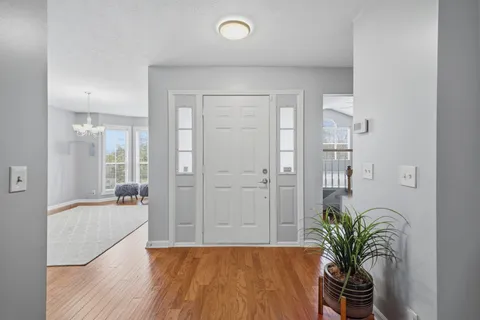 a living room with furniture and potted plant