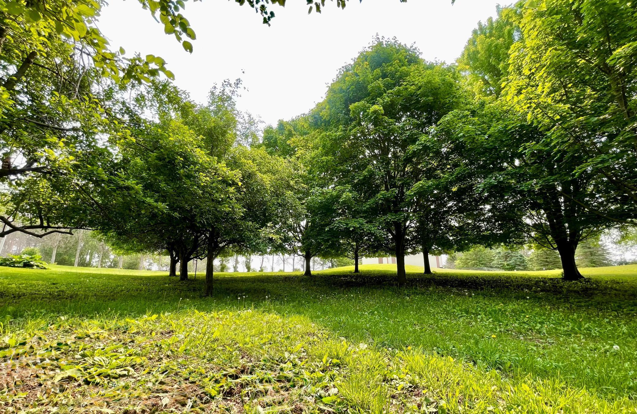 32337 Juniper Road Chatfield, MN 55923 - Photo 72 of 86