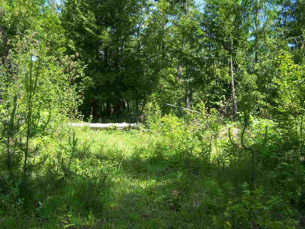 5462 Box Canyon Road Ione, WA 99139 - Photo 5 of 6 Gallery Image 5