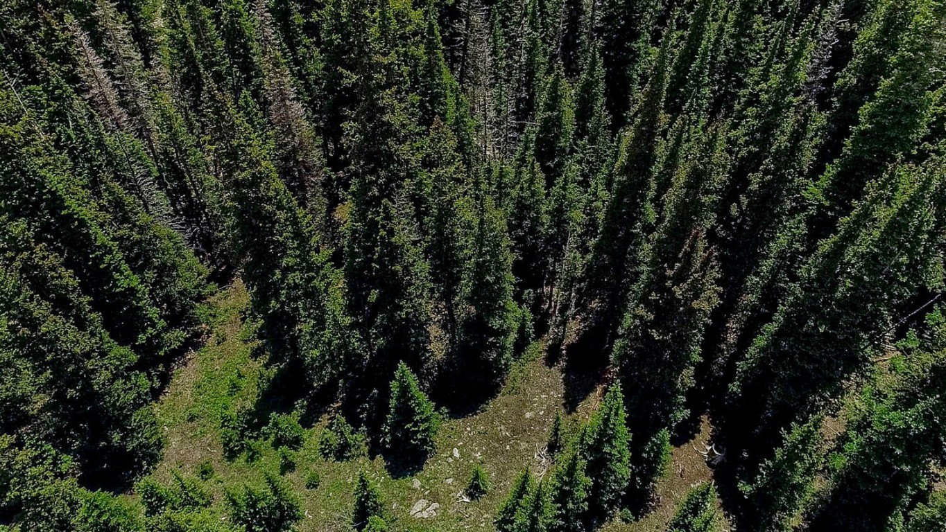 127 Ansley Road Alma, CO 80420 - Photo 5 of 21 Drone / aerial view