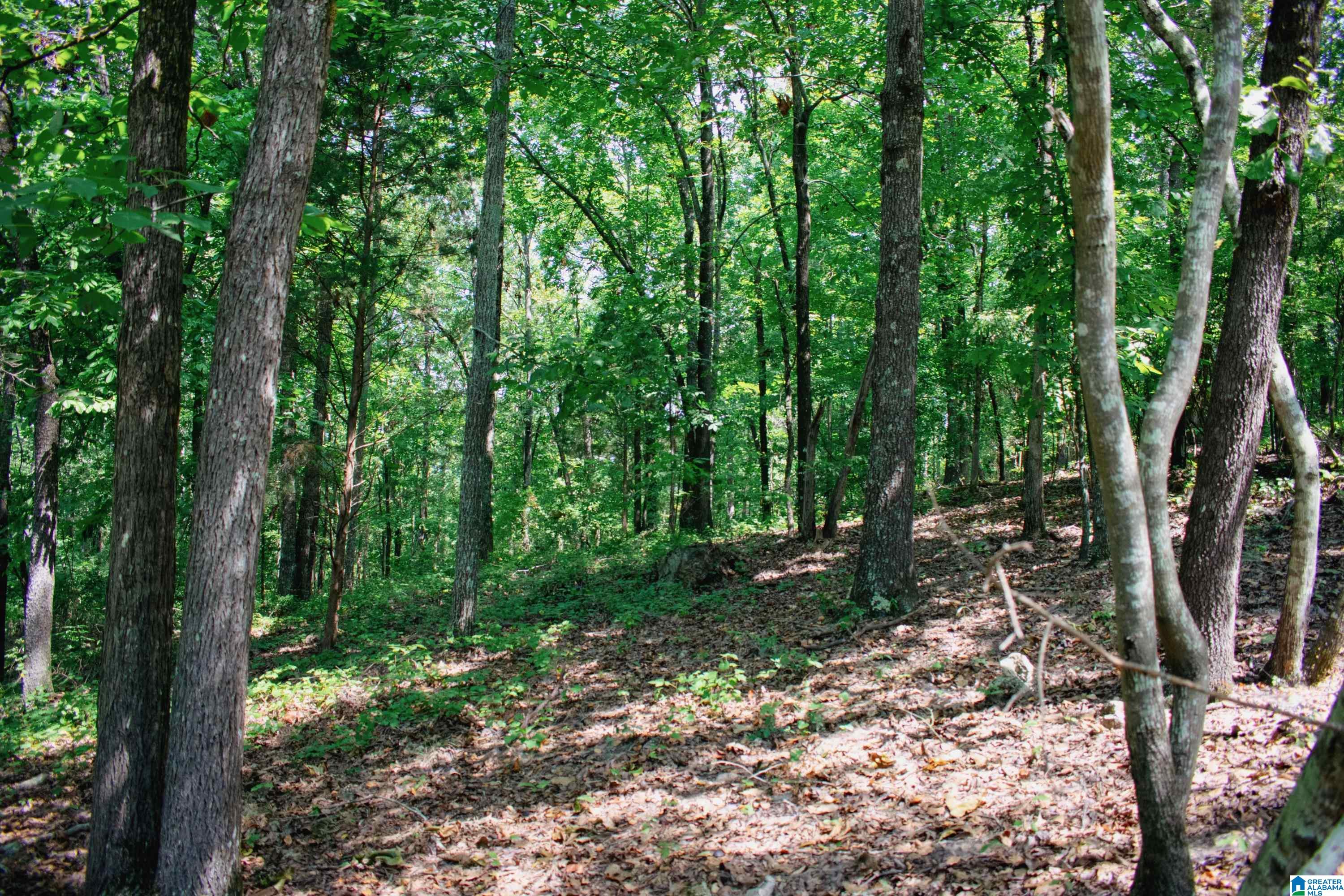 0 Mountain View Terrace, Unit 11 Talladega, AL 35160 - Photo 2 of 11