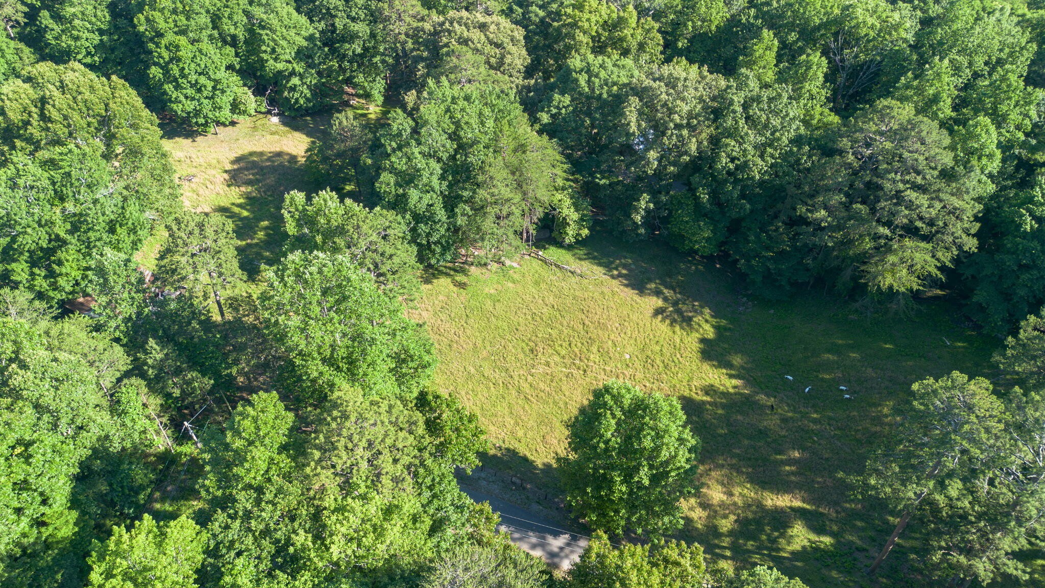 364 Gregg Road Dunlap, TN 37327 - Photo 8 of 23