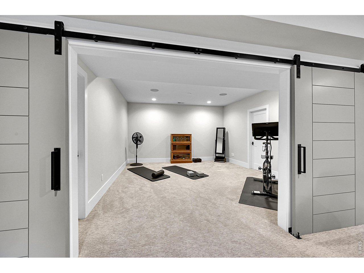 6582 Rookery Road Fort Collins, CO 80528 - Photo 37 of 50 Bonus room