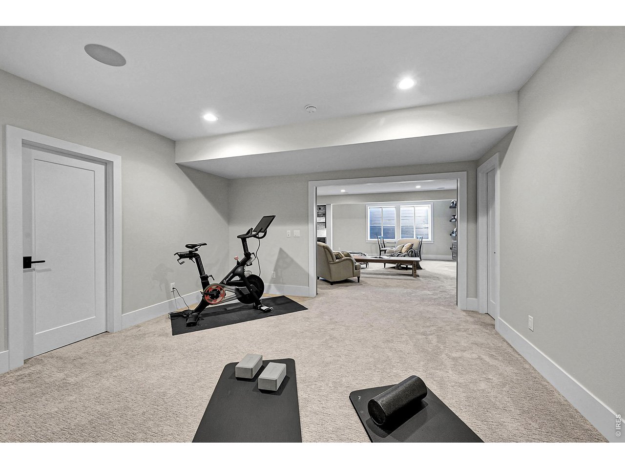 6582 Rookery Road Fort Collins, CO 80528 - Photo 38 of 50 Bonus room