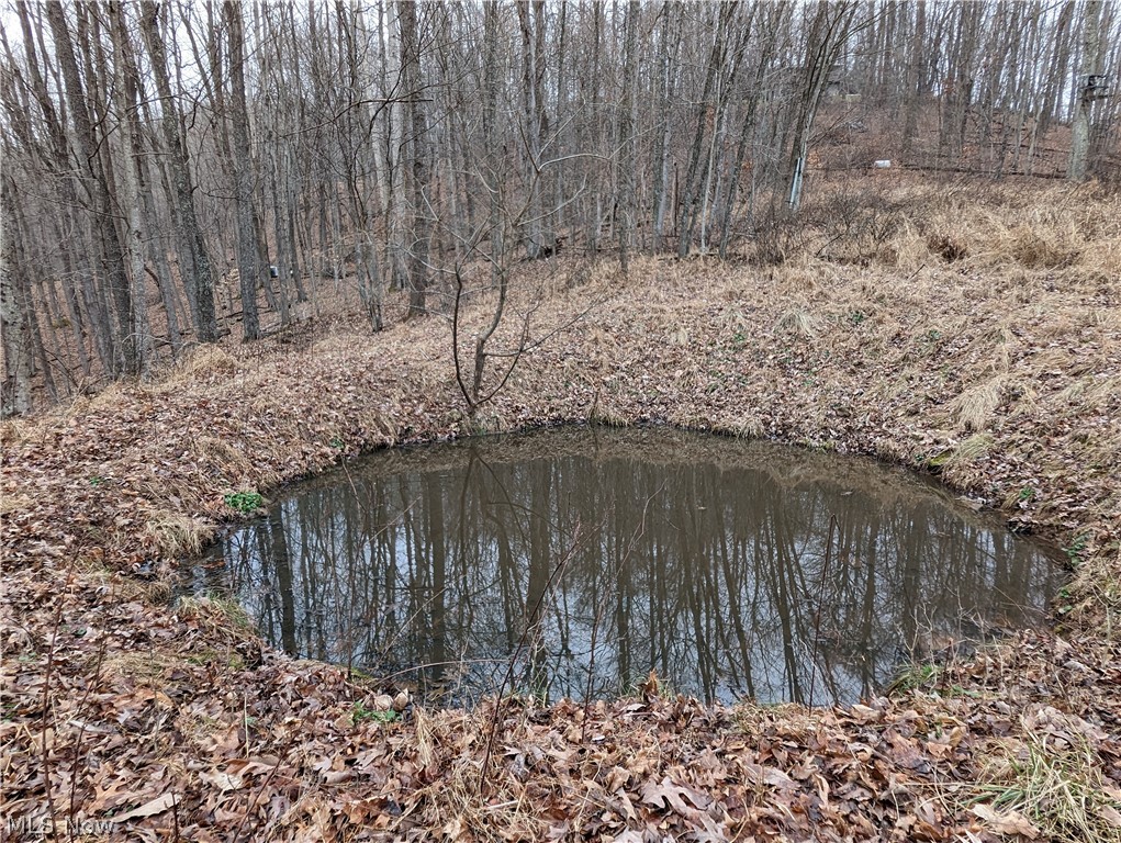580 Co Rte 7/2 Ivydale, WV 25113 - Photo 31 of 34