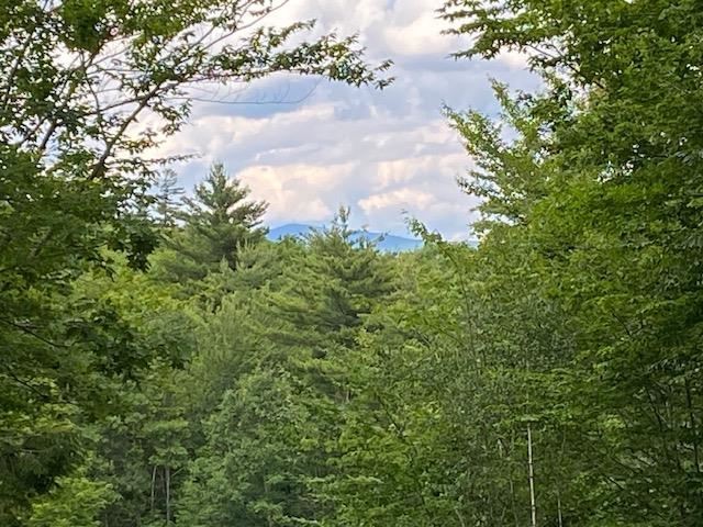 132 Newell Road Newbury, NH 03255 - Photo 22 of 42
